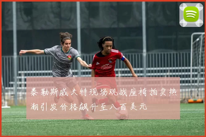 泰勒斯威夫特现场观战座椅拍卖热潮引发价格飙升至八百美元